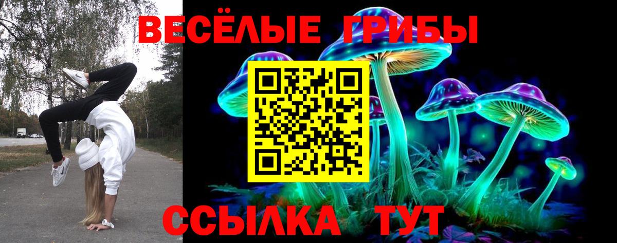 Псилоцибиновые грибы мицелий  Вход с VPN  Нефтеюганск  Псилоцибиновые грибы Cubensis 